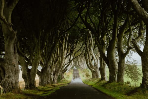 2022 Ireland Shoot 20
