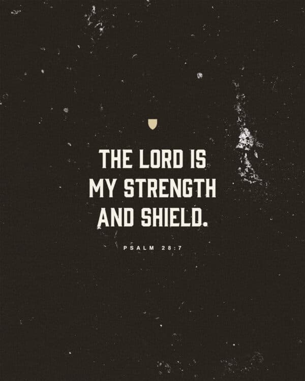 "The LORD is my strength and shield." - Psalm 28:7