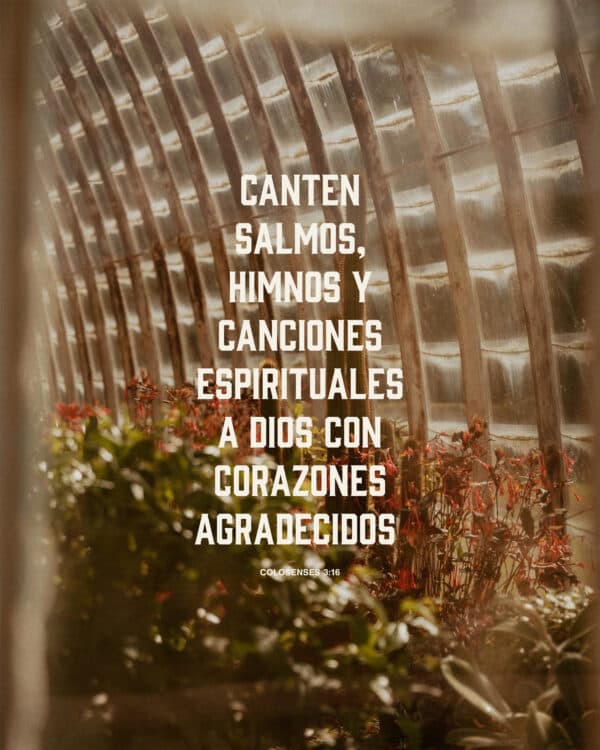 "Canten Salmos, Himnos y canciones espirituales a Dios con corazones agradecidos." - Colosenses 3:16