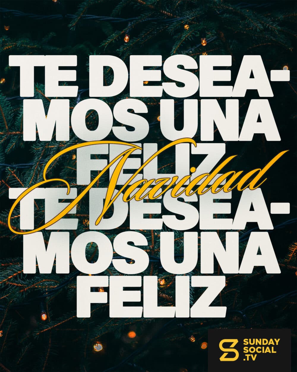 Te deseamos una feliz Navidad