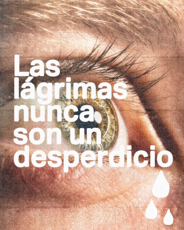 Las lágrimas nunca son un desperdicio
