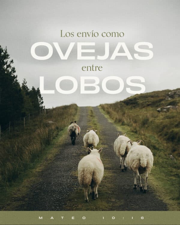 "Los envío como ovejas entre lobos." - Mateo 10:16