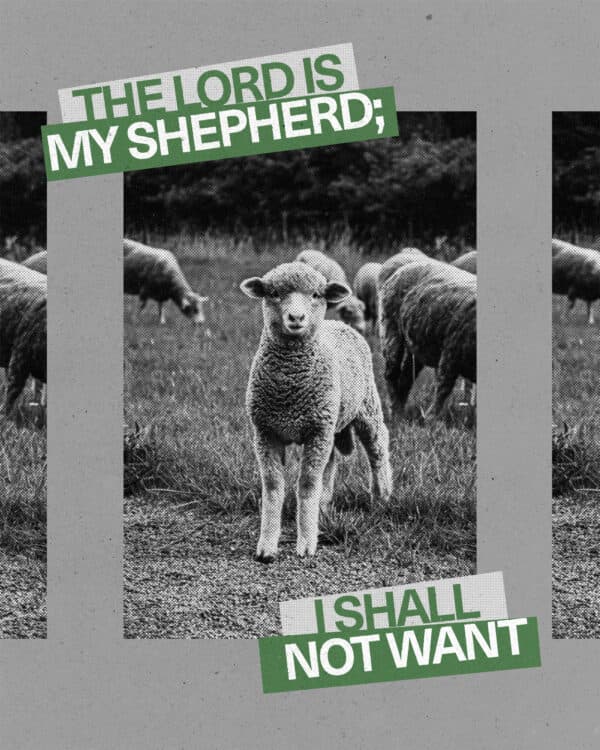 "The LORD is my shepherd; I shall not want." - Psalm 23:1