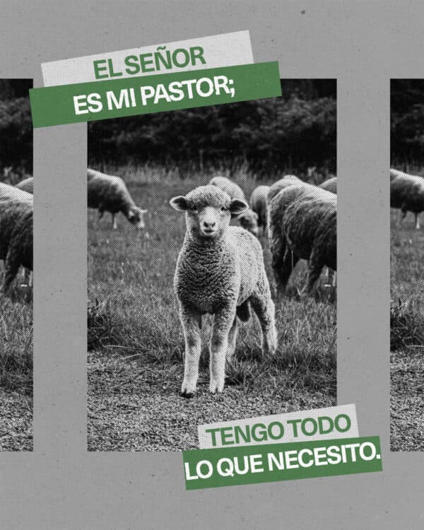 "El SEÑOR es mi pastor; tengo todo lo que necesito." - Salmos 23:1
