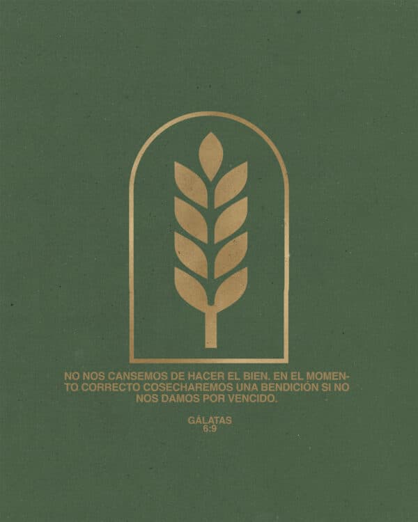 "No nos cansemos de hacer el bien. En el momento correcto cosecharemos una bendición si no nos damos por vencido." - Gálatas 6:9