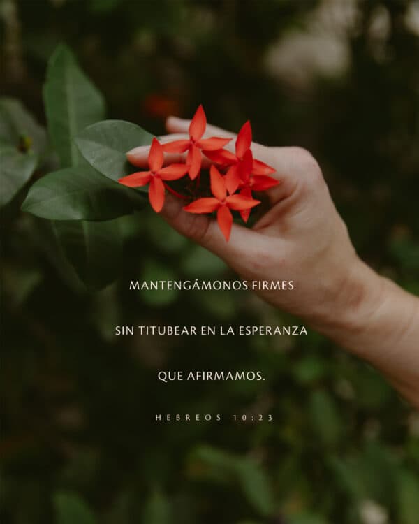 "Mantengámonos firmes sin titubear en la esperanza que afirmamos." - Hebreos 10:23