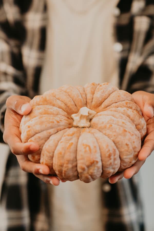Friendsgiving / Thanksgiving Shoot 103