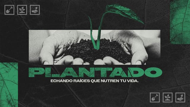 Plantado: Sechando raíces que nutren tu vida.