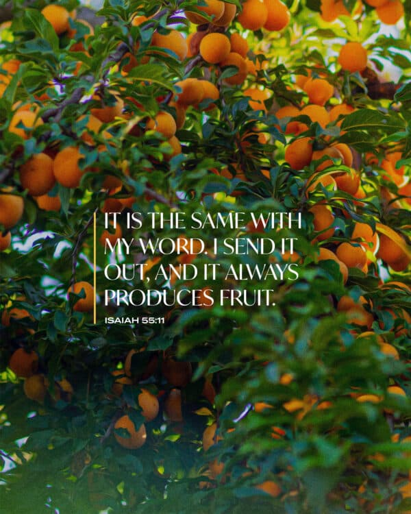 "It is the same with my word. I send it out, and it always produces fruit." - Isaiah 55:11