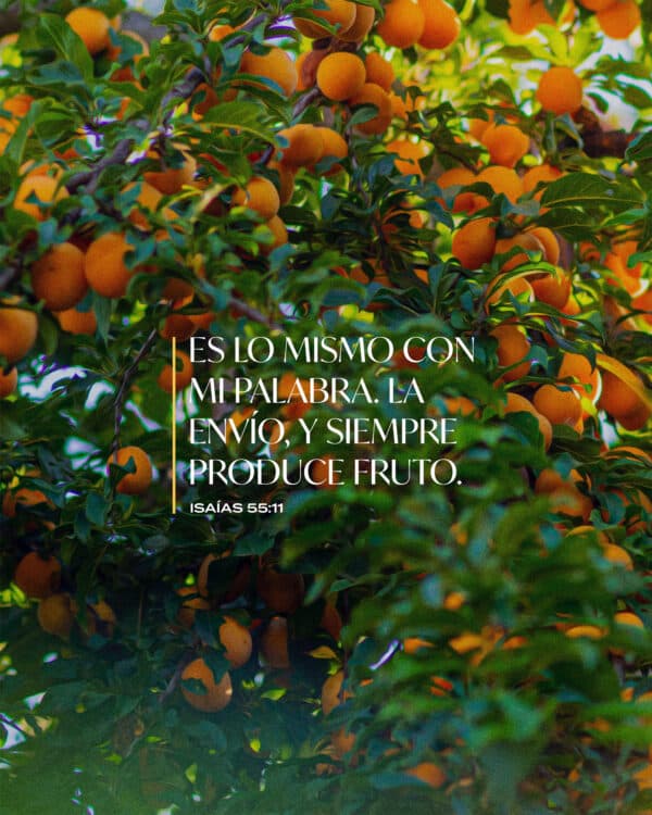 "Es lo mismo con mi palabra. La envío, y siempre produce fruto." - Isaías 55:11