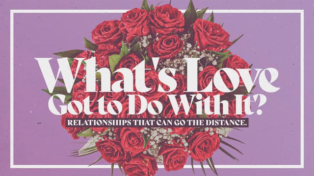 What's Love Got to Do With It? Relationships that can go the distance.
