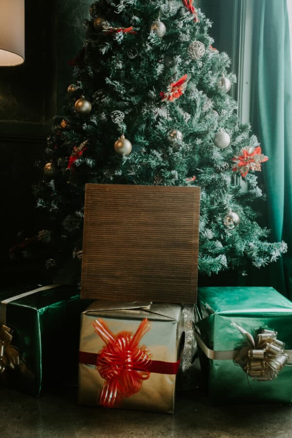 LA Christmas 2022 Shoot 32