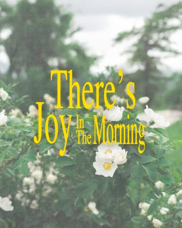 There's joy in the morning!