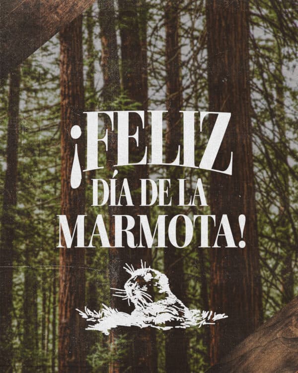 ¡Feliz día de la marmota!