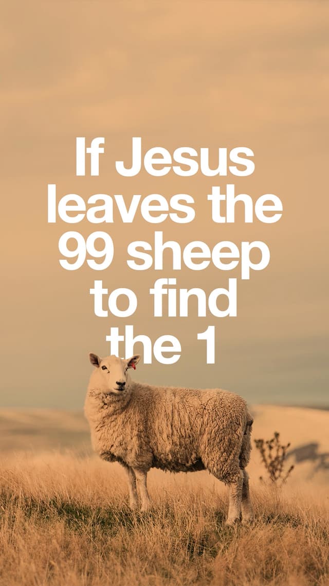 99 Sheep