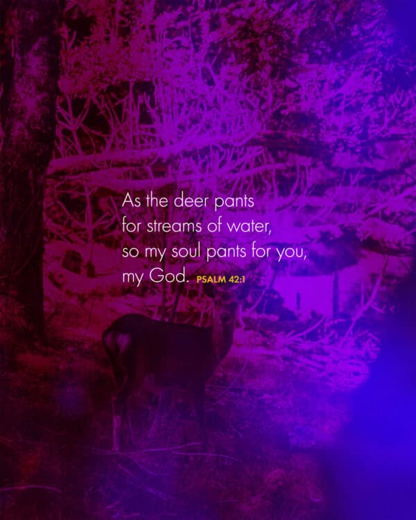 "As the deer pants for streams of water, so my soul pants for you, my God." - Psalm 42:1