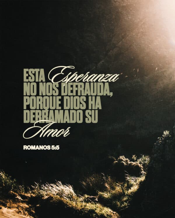 "Esta esperanza no nos defrauda, porque Dios ha derramado su amor." - Romanos 5:5
