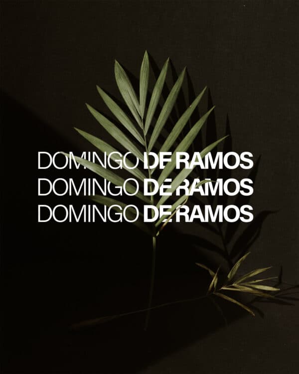 Domingo de Ramos