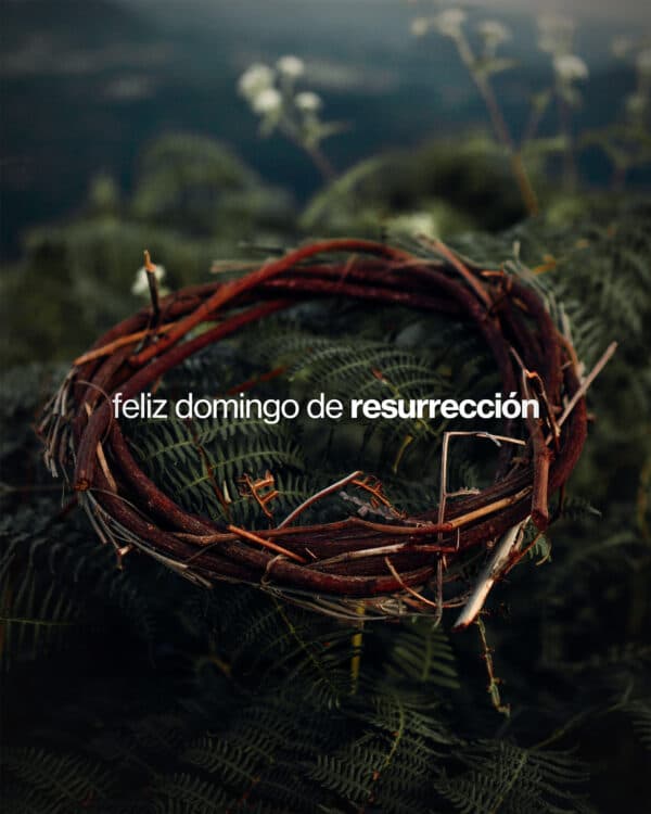 ¡Feliz Domingo de Resurrección!