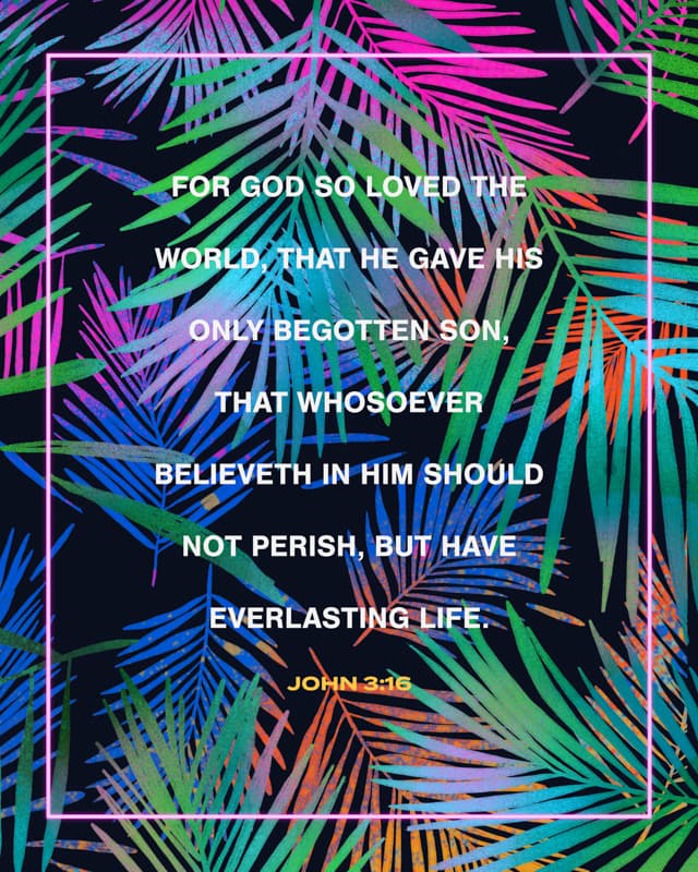Scripture Posts