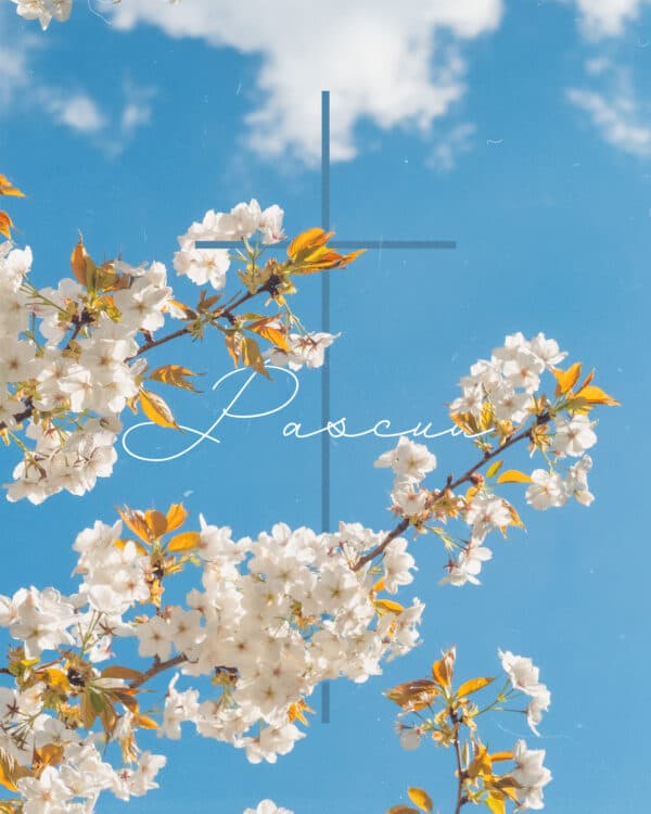 Pascua