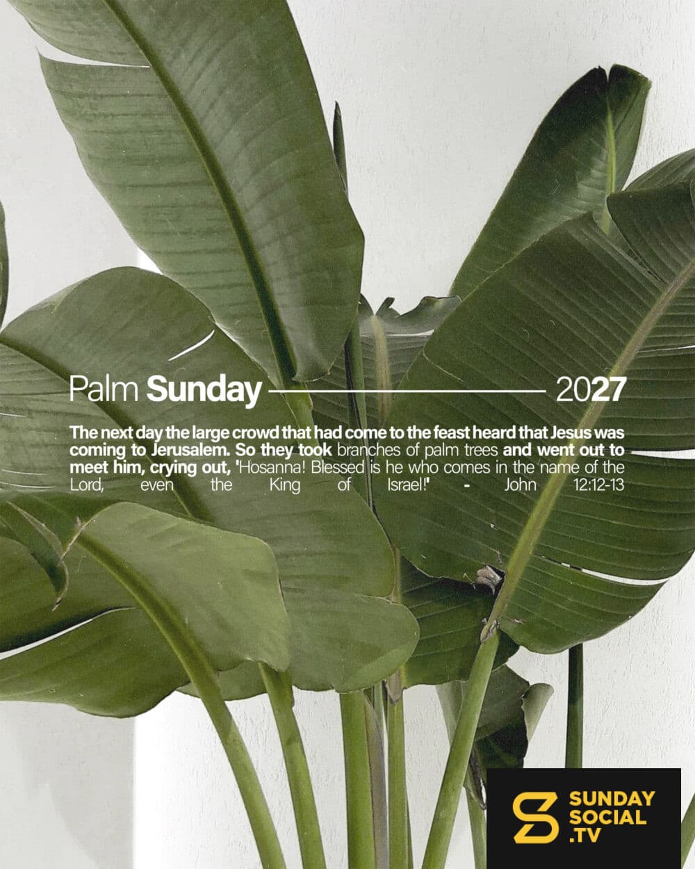 Palm Sunday 2027. The next day the large crowd that had come to the feast heard that Jesus was coming to Jerusalem. So they took branches of palm trees and went out to meet him, crying out, 'Hosanna! Blessed is he who comes in the name of the Lord, even the King of Israel!' - John 12:12-13
