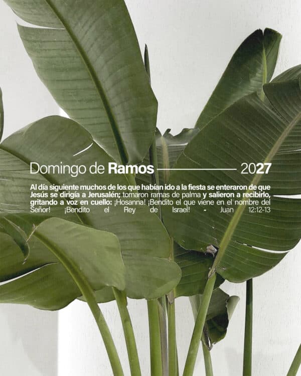 Domingo de Ramos 2027. Al día siguiente muchos de los que habían ido a la fiesta se enteraron de que Jesús se dirigía a Jerusalén; tomaron ramas de palma y salieron a recibirlo, gritando a voz en cuello: ¡Hosanna! ¡Bendito el que viene en el nombre del Señor! ¡Bendito el Rey de Israel! - Juan 12:12-13