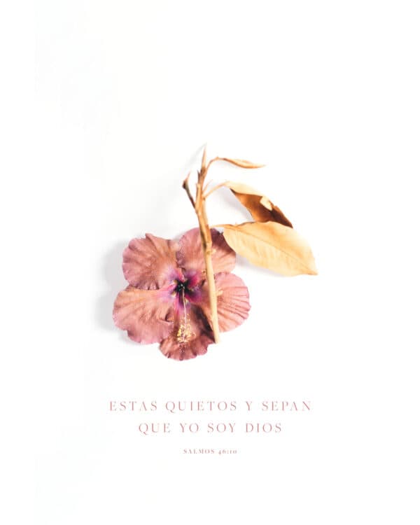 "Estas quietos y sepan que yo soy Dios." - Salmos 46:10