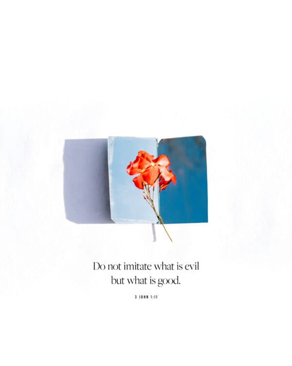 "Do not imitate what is evil but what is good." - 3 John 1:11