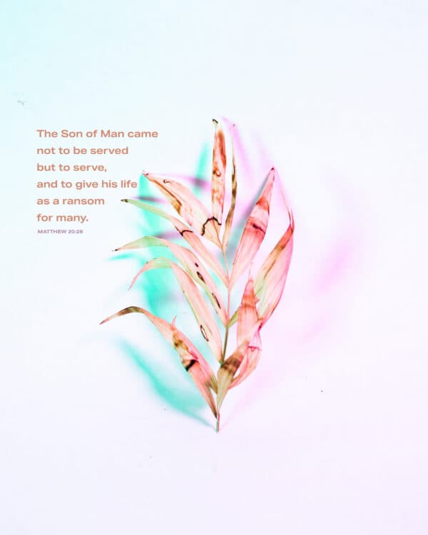 "The Son of Man came not to be served but to serve, and to give his life as a ransom for many." - Matthew 20:28