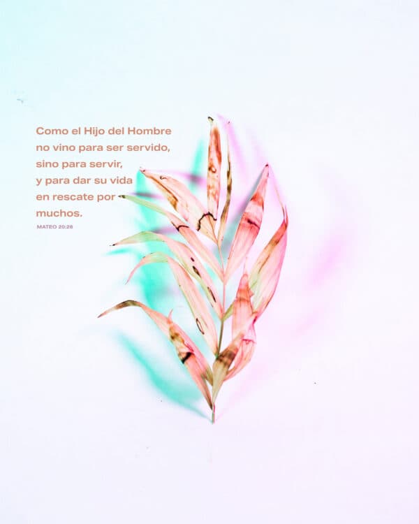 "Como el Hijo del Hombre no vino para ser servido, sino para servir, y para dar su vida en rescate por muchos." - Mateo 20:28