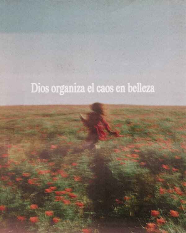 Dios organiza el caos en belleza.