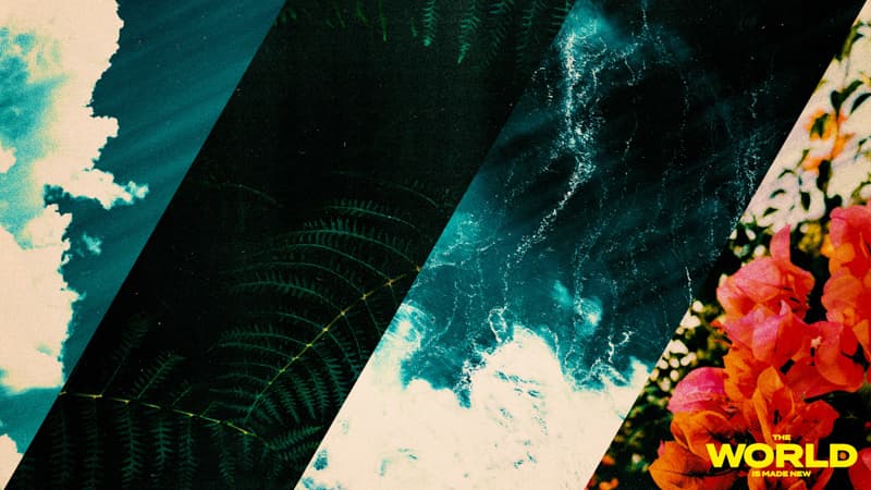 Main Graphics