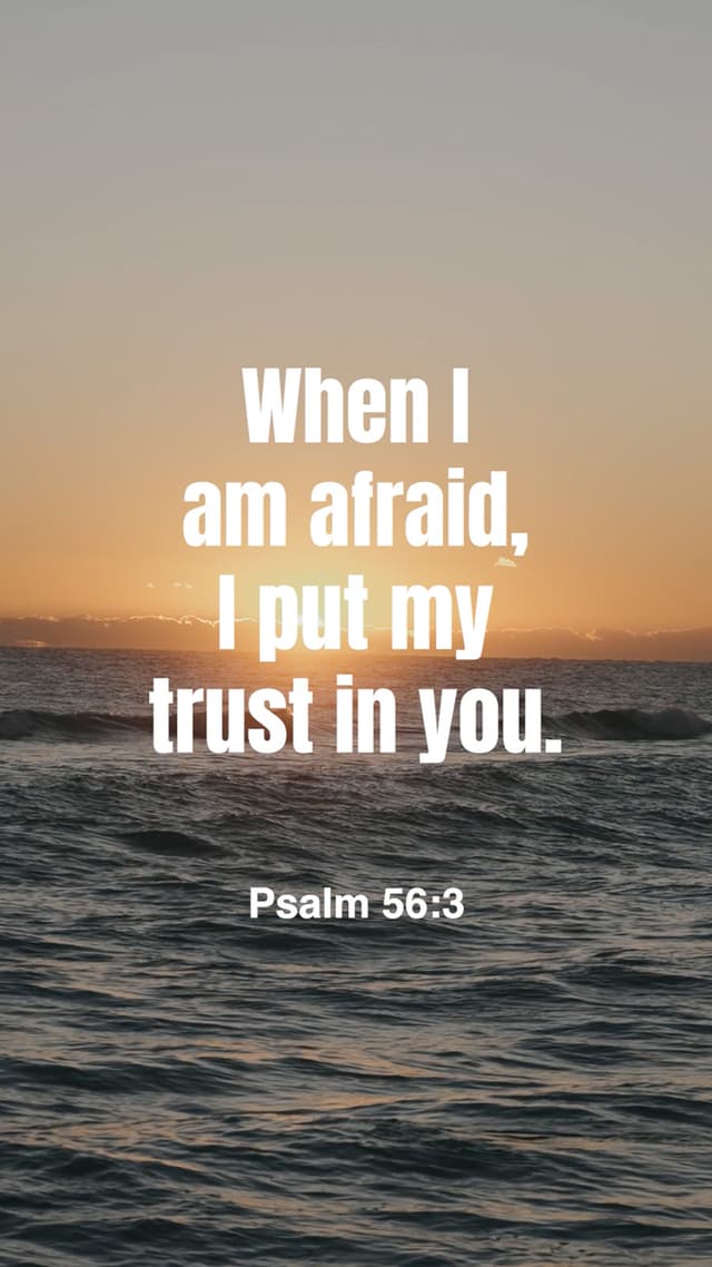 Put My Trust In You