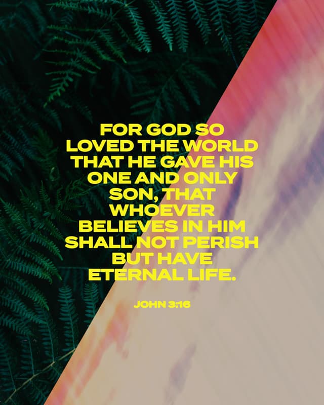 Scripture Posts