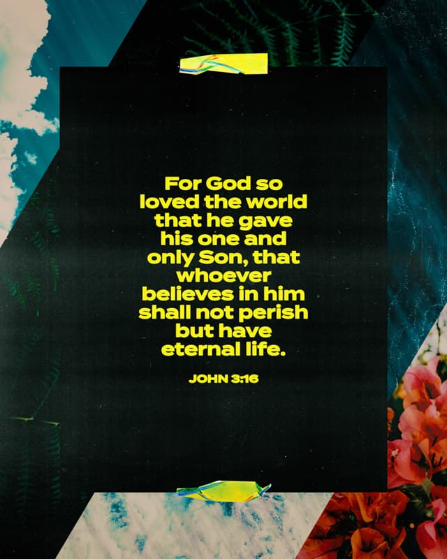 Scripture Posts