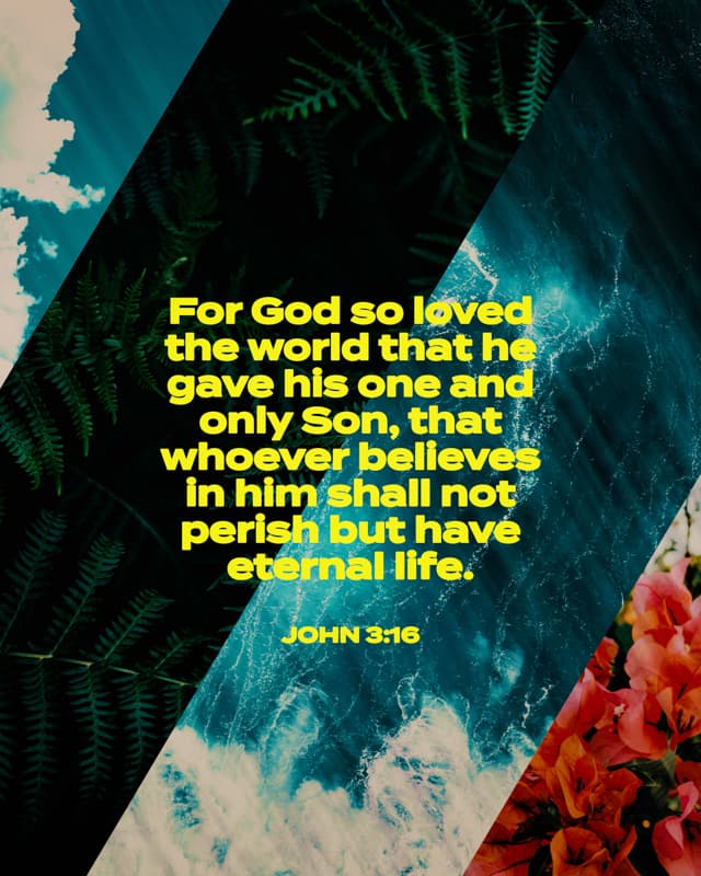 Scripture Posts