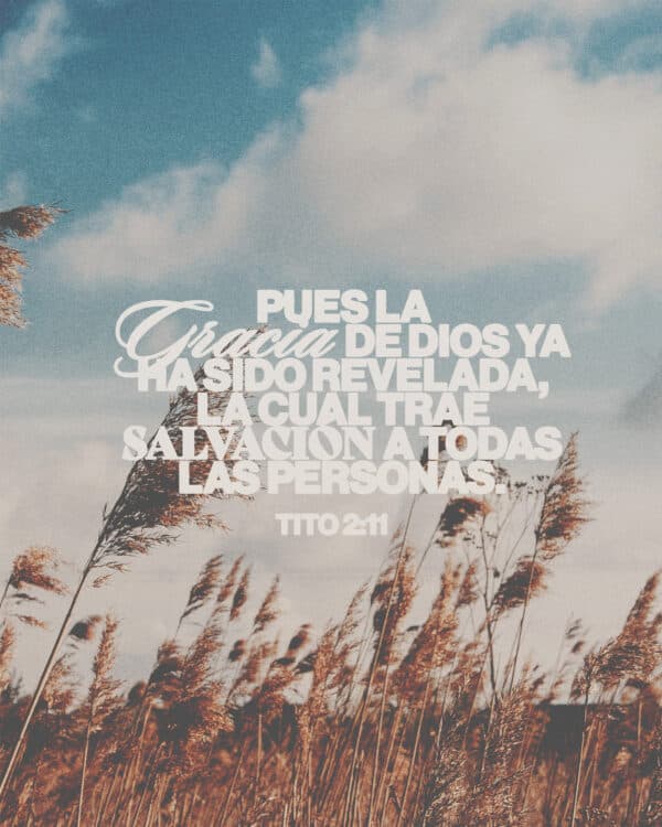 "Pues la gracia de Dios ya ha sido revelada, la cual trae salvación a todas las personas." - Tito 2:11
