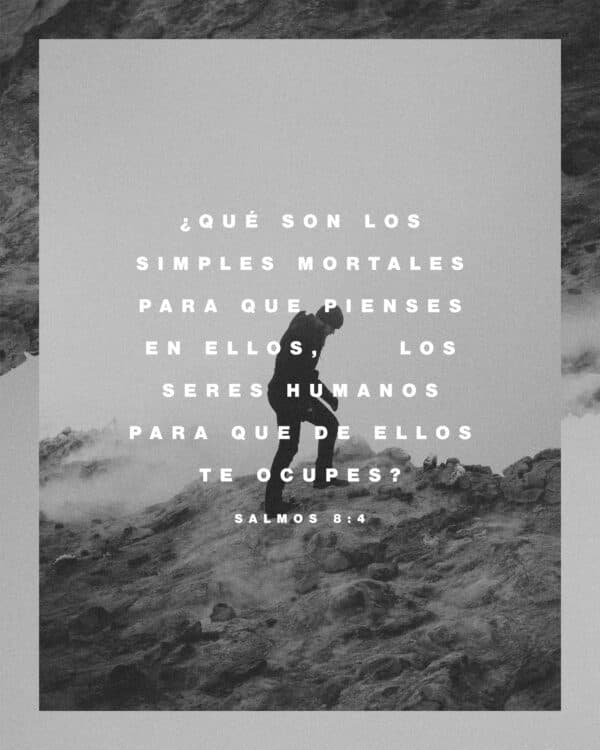 "¿Qué son los simples mortales para que pienses en ellos, los seres humanos para que de ellos te ocupes?" - Salmos 8:4