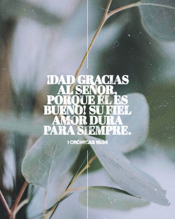 "¡Dad gracias al Señor, porque Él es bueno! Su fiel amor dura para siempre." - 1 Crónicas 16:34