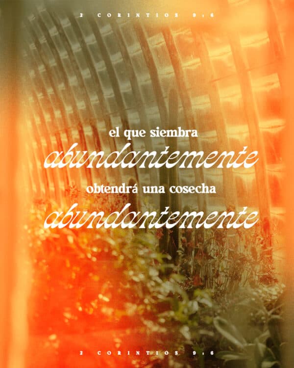 "El que siembra abundantemente obtendrá una cosecha abundante." - 2 Corintios 9:6