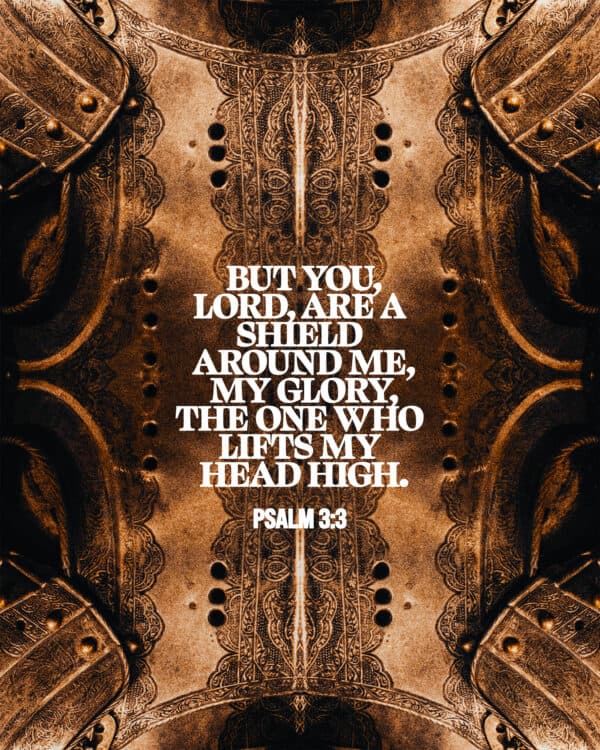 "But you, Lord, are a shield around me, my glory, the One who lifts my head high." - Psalm 3:3
