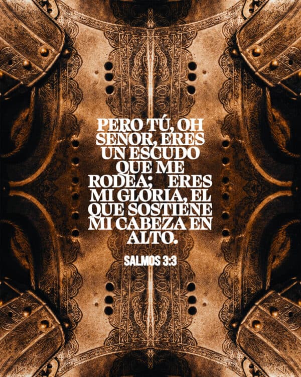 "Pero tú, oh Señor, eres un escudo que me rodea; eres mi gloria, el que sostiene mi cabeza en alto." - Salmos 3:3