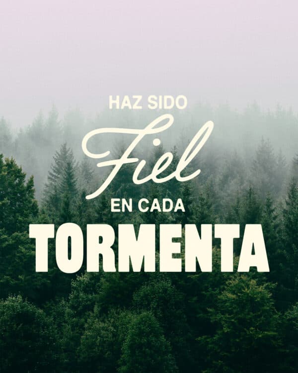 Haz sido fiel en cada tormenta.
