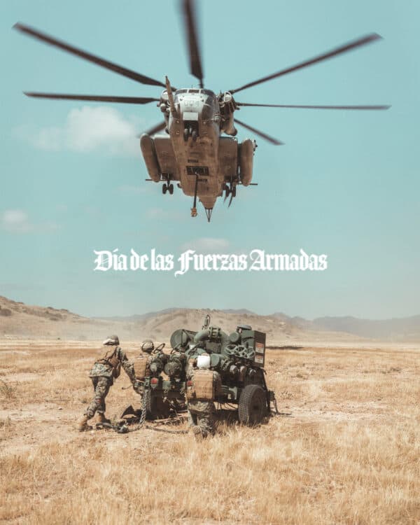 Día de las Fuerzas Armadas