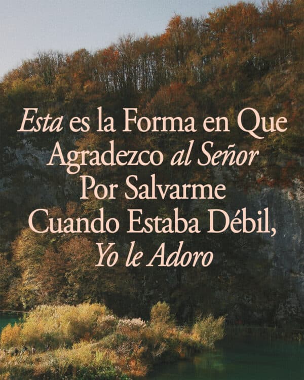 Esta es la forma en que agradezco al Señor por salvarme cuando estaba débil, yo le adoro