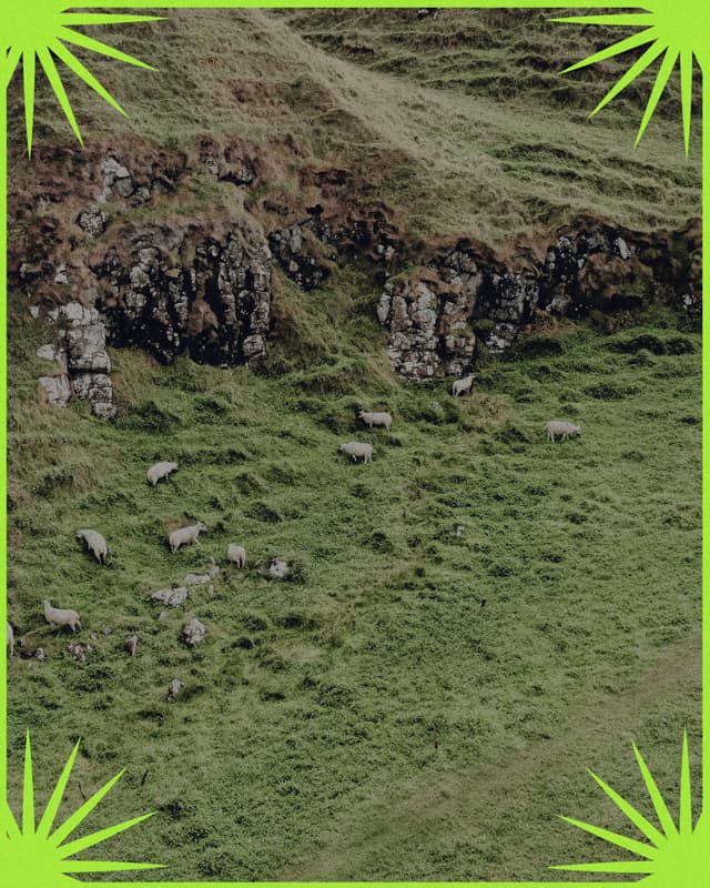 Photo Overlays