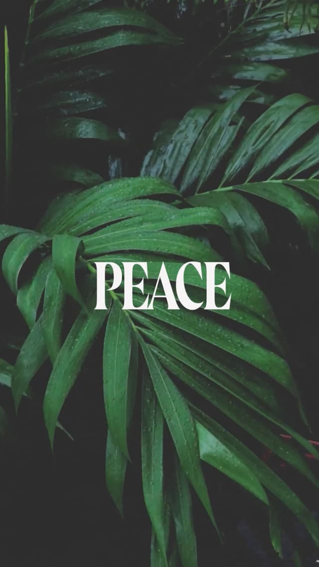 Peace Isn't Something