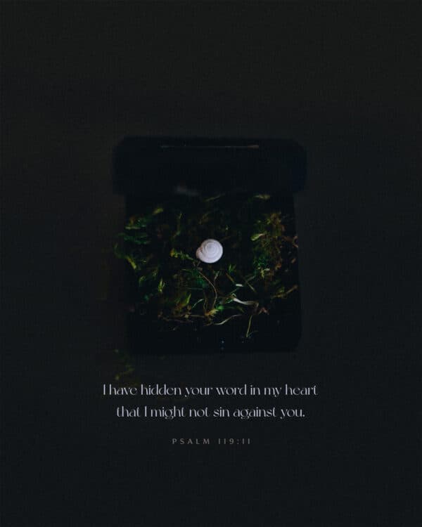 "I have hidden your word in my heart that I might not sin against you." - Psalm 119:11