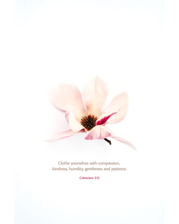 "Clothe yourselves with compassion, kindness, humility, gentleness and patience." - Colossians 3:12